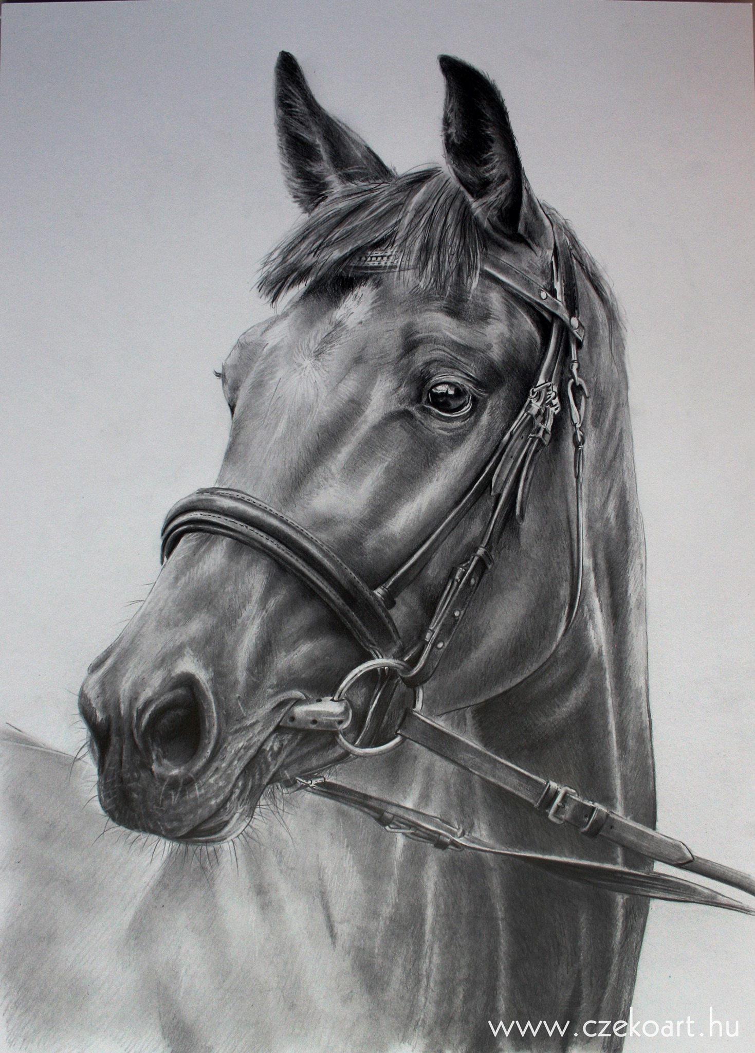 CZEKOArt - 🐴Fekete-fehér ló portré rajz A3 méretben.🐎... | Facebook