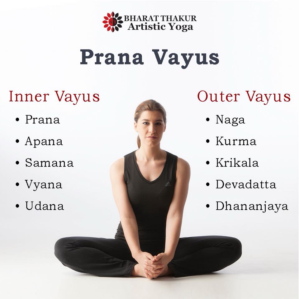 Bharat Thakur Artistic Yoga - Outer Vayus of the Body As we learnt last ...