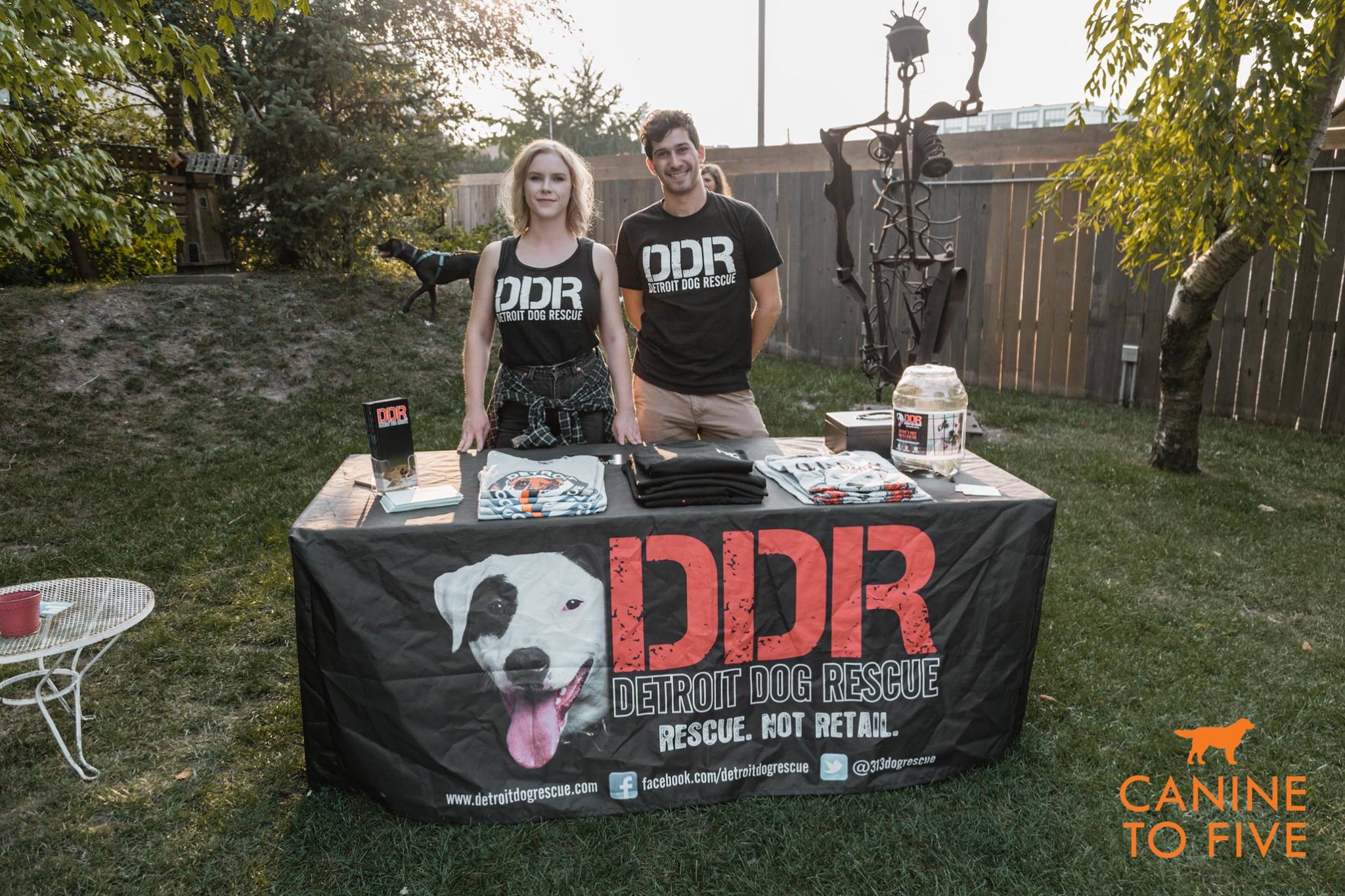 Detroit Dog Rescue | Detroit MI