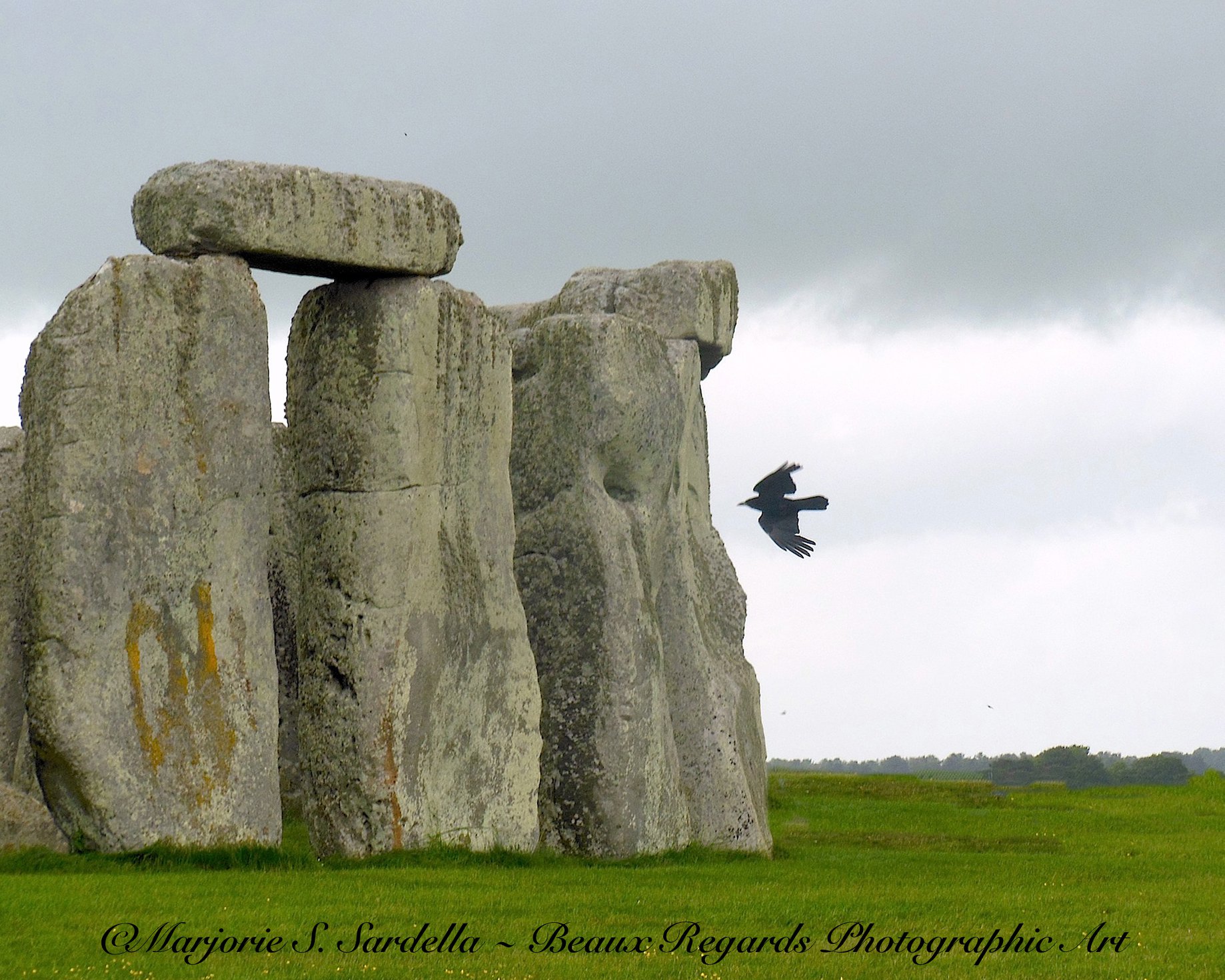 RAVEN ABOUT STONEHENGE ~... - Beaux Regards Photographic Art | Facebook