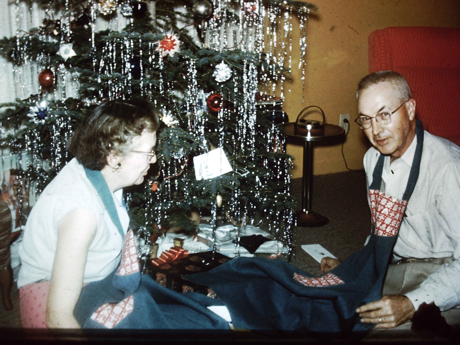 Potter Family (descents of Issac Platt and Minnie Mariah)