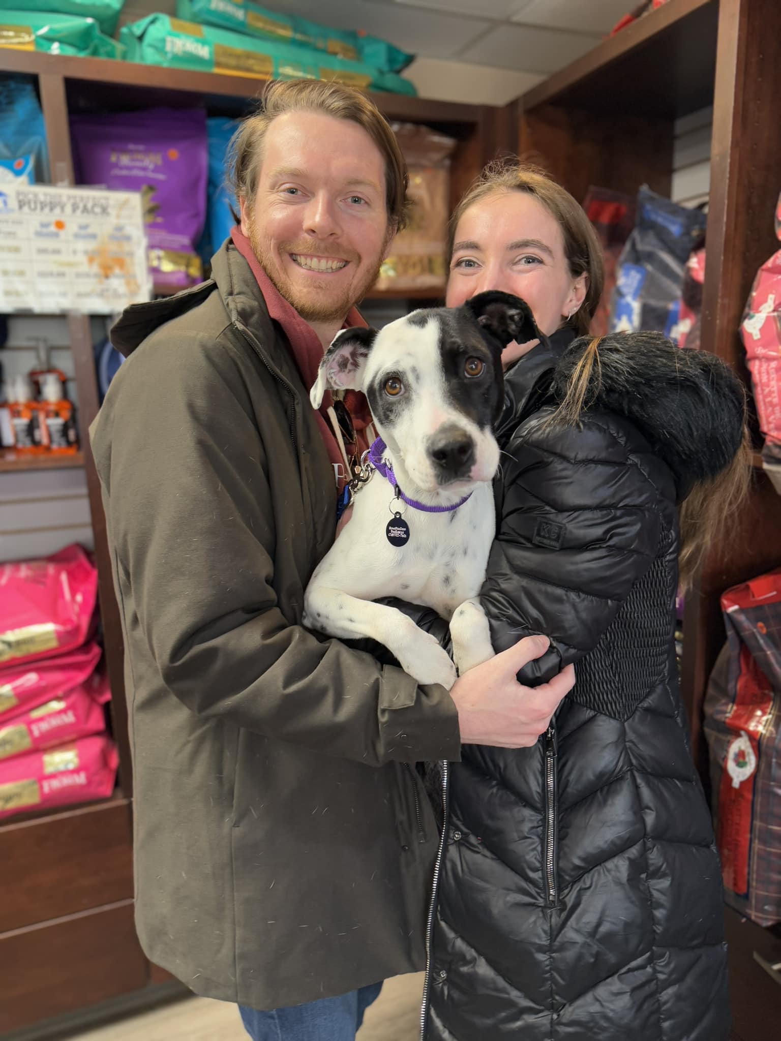 Missy is adopted ! CONGRATULATIONS 🎉💕
