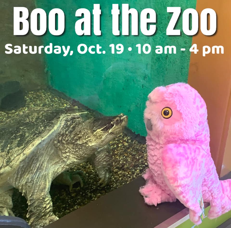 Brittany S. is the winner! GIVEAWAY!... - Lake Superior Zoo | Facebook