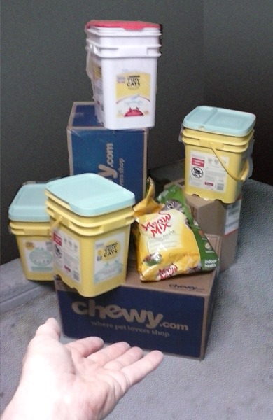 HALLELUJAH! The cat litter... - The Wyatt Reed Experience