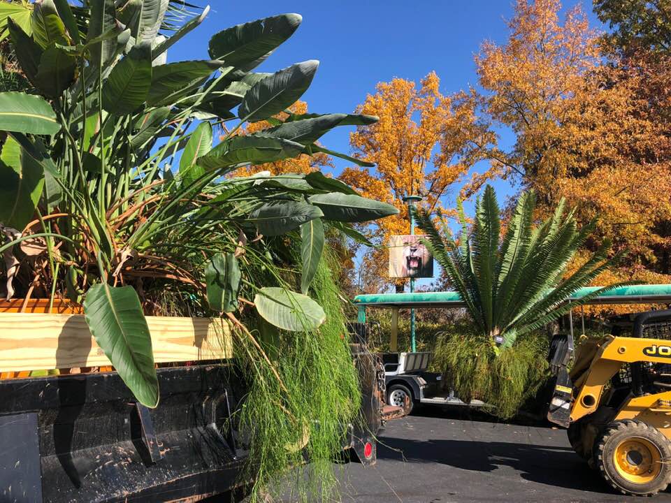 Our horticulture staff... - Mesker Park Zoo & Botanic Garden | Facebook