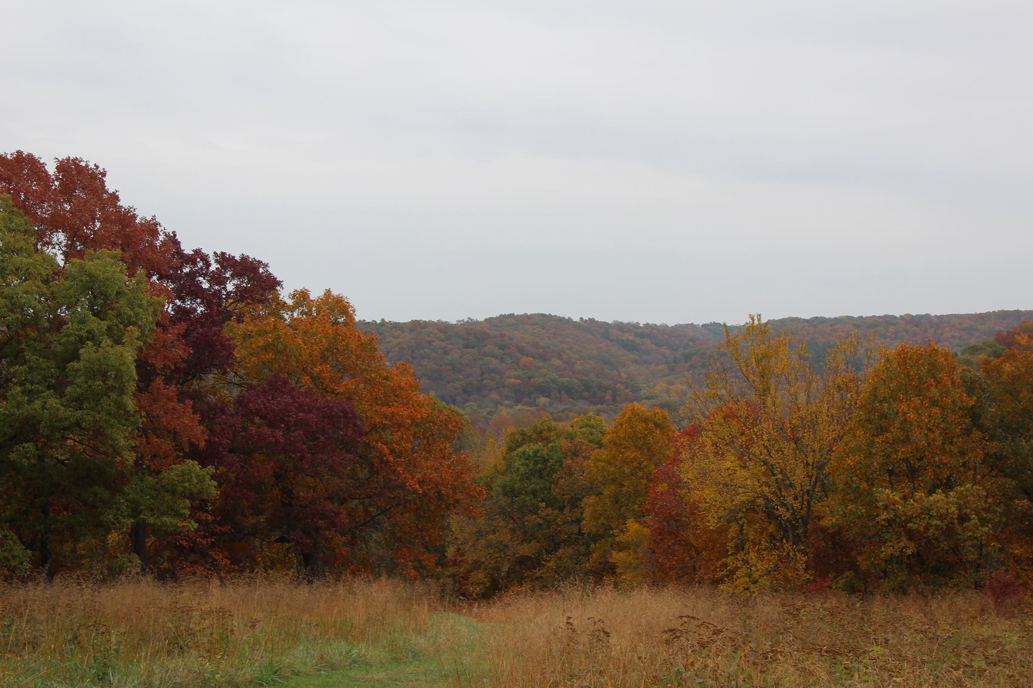 Spring Valley Ranch updated their... - Spring Valley Ranch