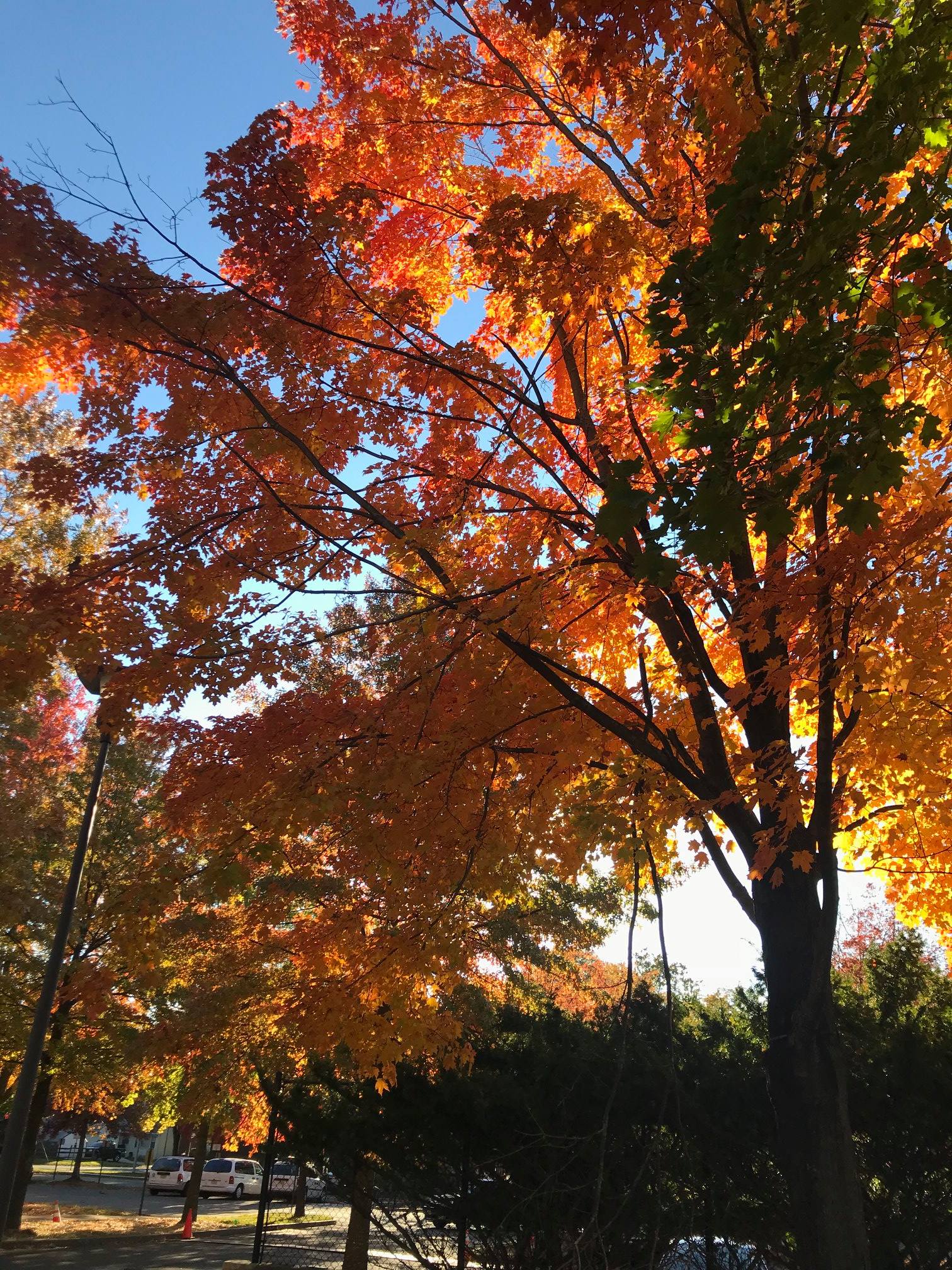 Say hi to fall at TCNJ and... - The College of New Jersey | Facebook