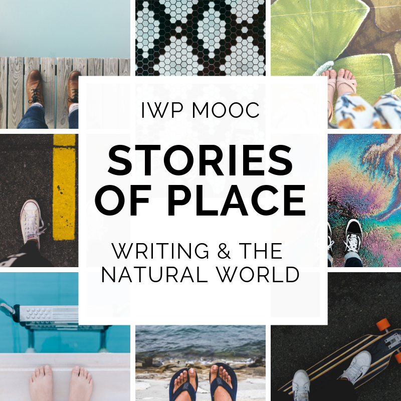 Our new free writing #MOOC... - International Writing Program | Facebook