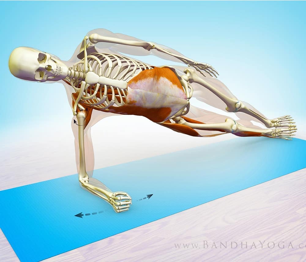 Side Forearm Plank . … Begin by stabilizing the shoulders. Do this by ...