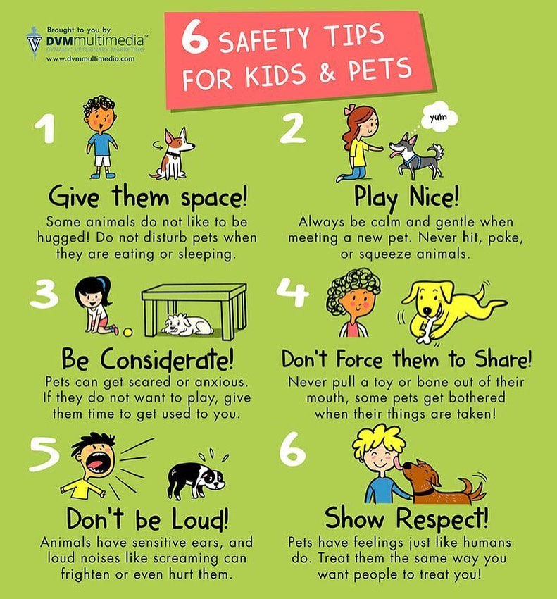 It’s very important to... - The Broome County Humane Society