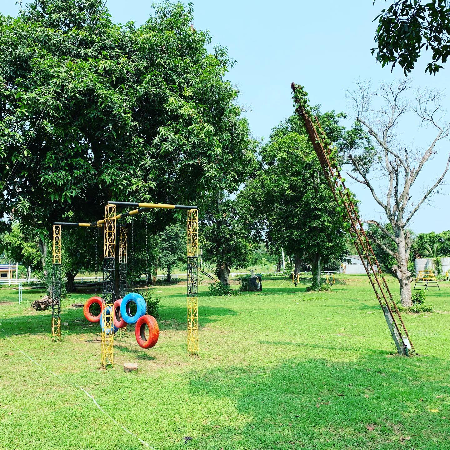 The Activity Master