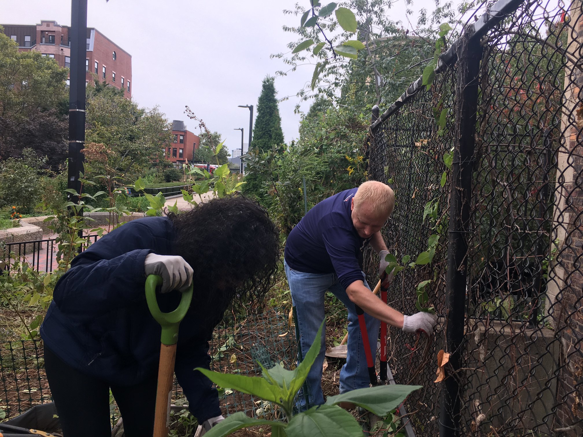 Volunteer work with Capital... - The Southwest Corridor Park | Facebook