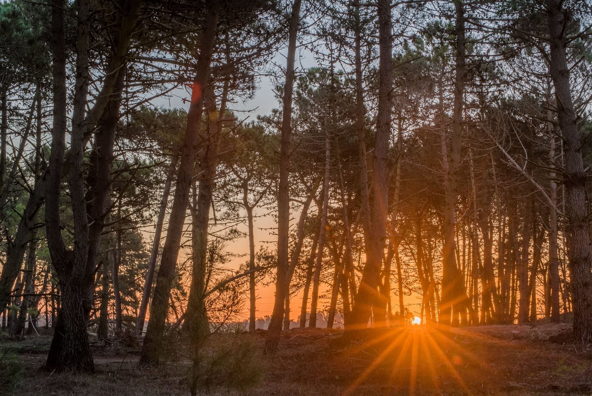 Pinamar | Balneario Pinamar