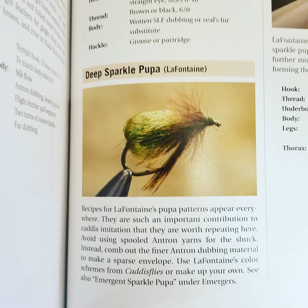 Paul Schmookler & Ingrid Sils Forgotten Flies Signed! As New