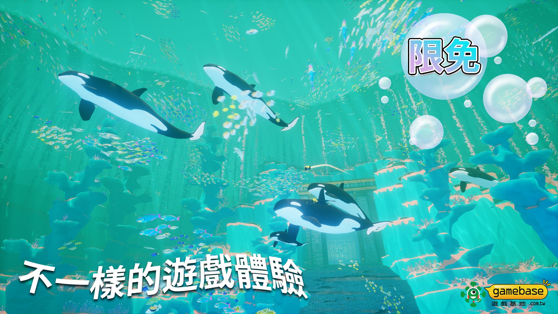 遊戲基地 Gamebase - 玩膩打怪練功撿裝備的遊戲嗎？ 介紹一款放鬆休閒的探索遊戲 碧綠蔚藍的大海等著你遨遊🐋... | Facebook