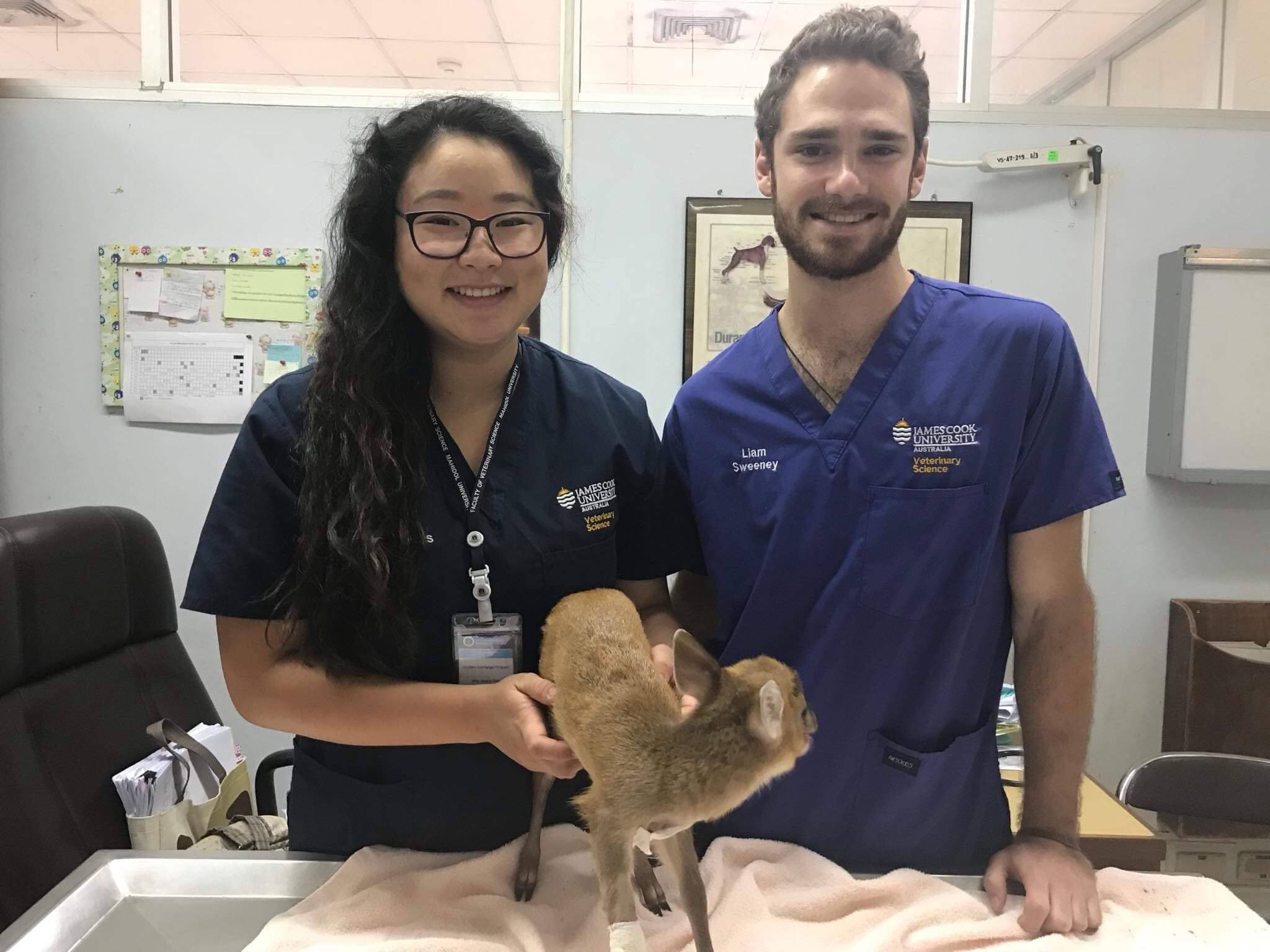 jcu-veterinary-jcu-james-cook-university-australia-facebook