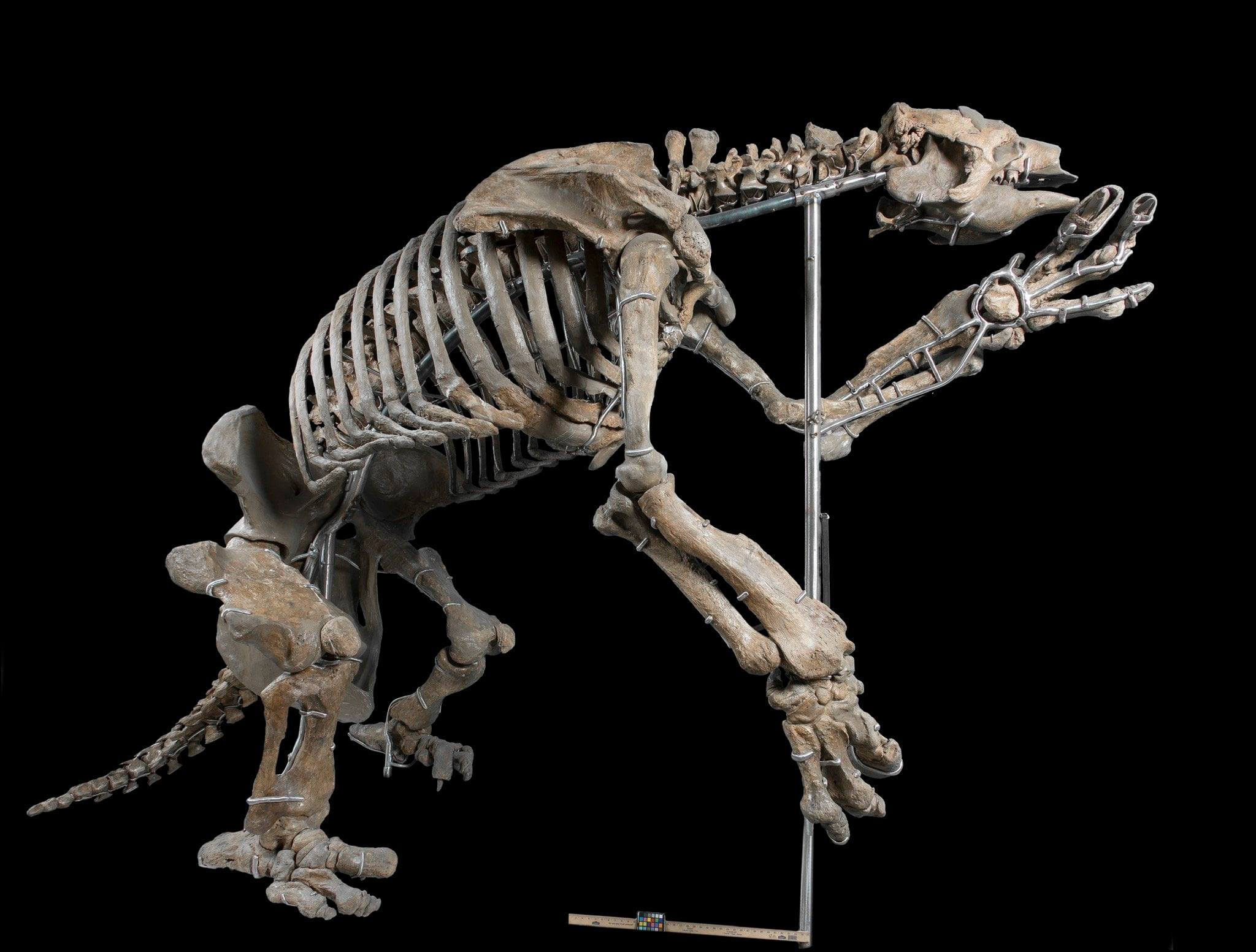 Happy... - Smithsonian National Museum of Natural History