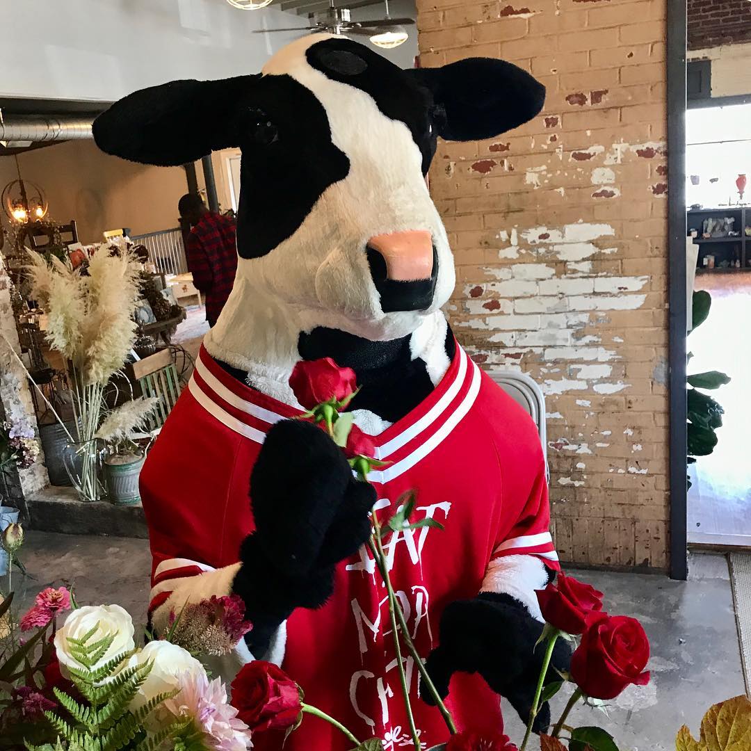 Our CFA Cow... - Chick-fil-A Mall of Georgia on Buford Drive | Facebook