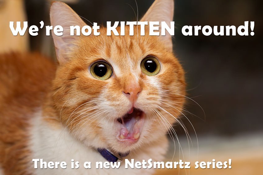 NetSmartz - These episodes are purr-fect to teach kids about # ...