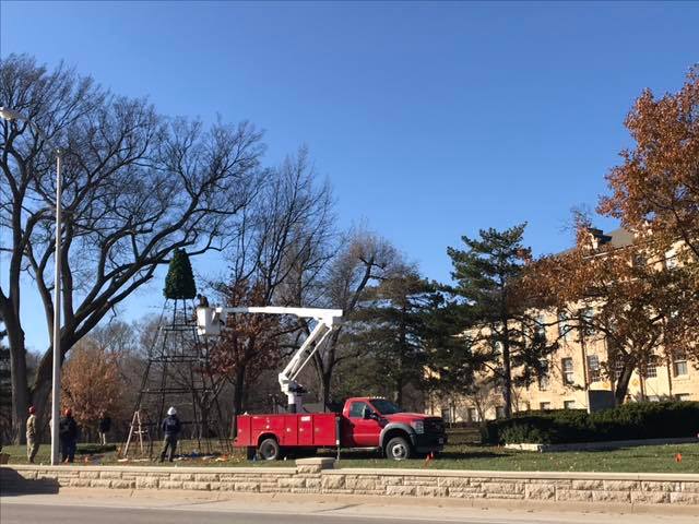 Fort Riley - New trees are transforming the Ware Parade...