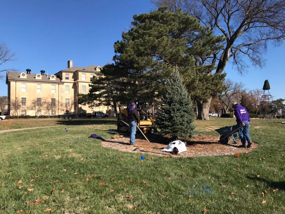 Fort Riley - New trees are transforming the Ware Parade...
