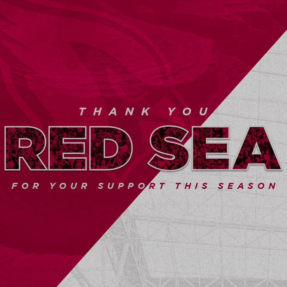 Arizona Cardinals - Red Sea, it was not the season that any of us hoped ...