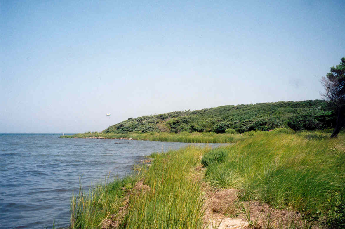 Springer's Point - Almost two acres of private land within our Springer ...