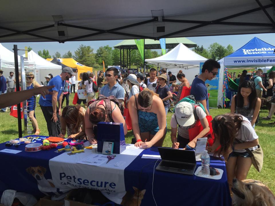Petsecure Pet Health... - Petsecure Pet Health Insurance