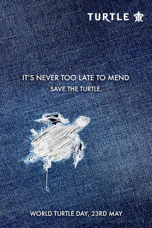 Turtle Limited