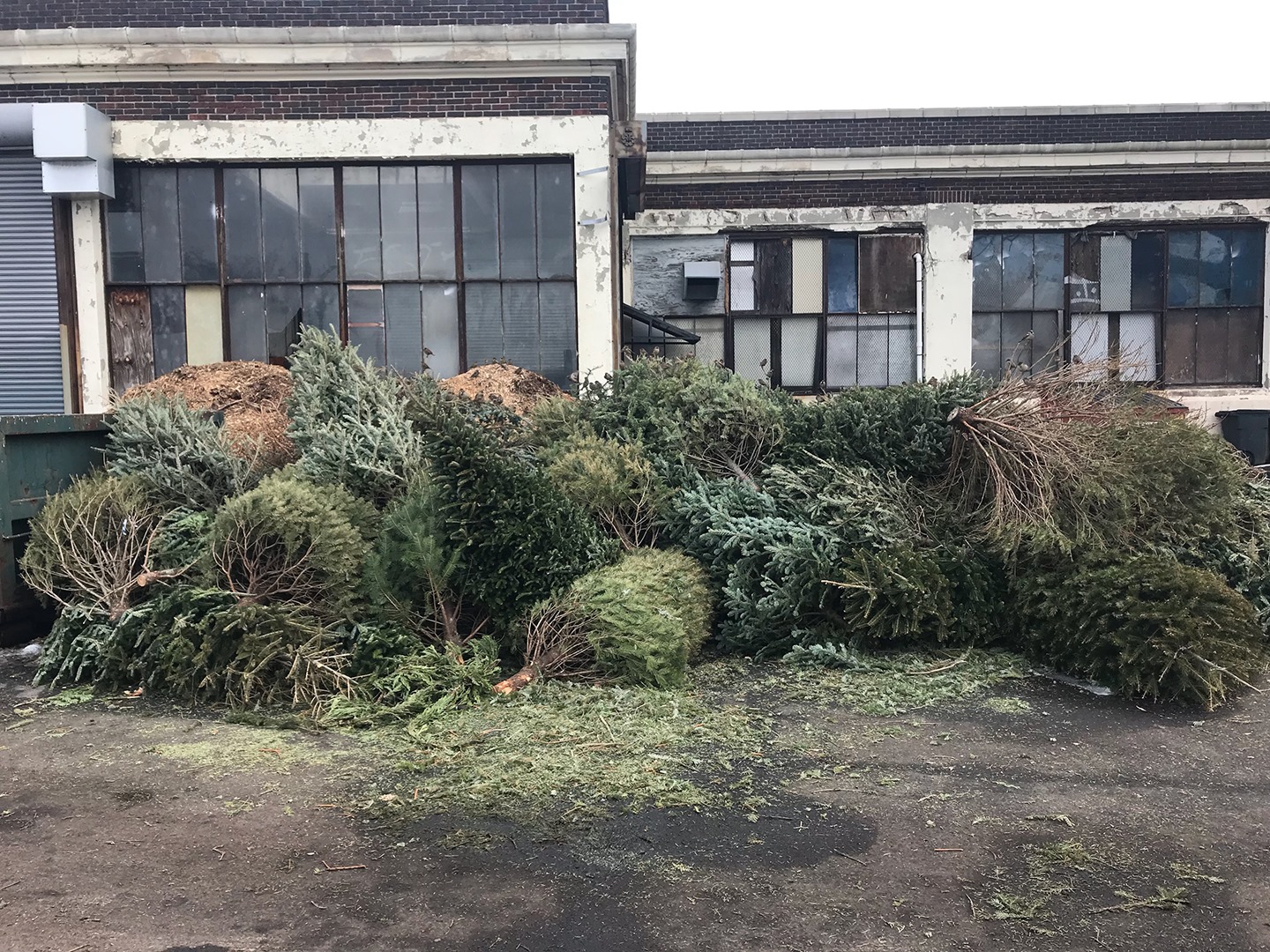 Bennett Compost - Not sure what to do with your Christmas...
