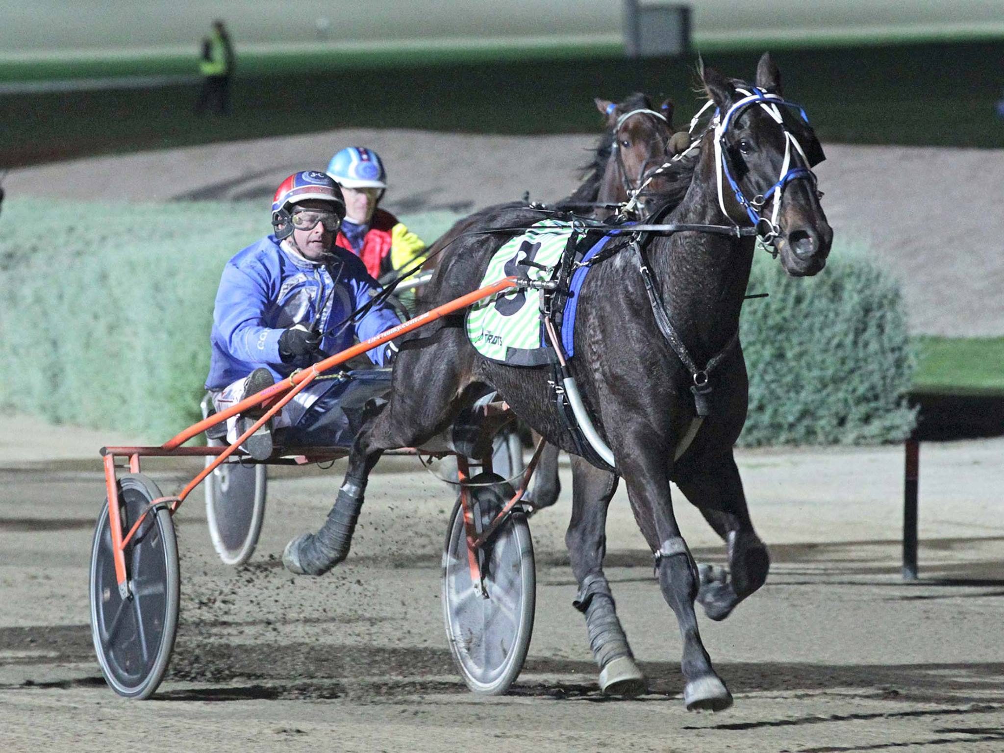 Harness Racing Victoria added a... - Harness Racing Victoria