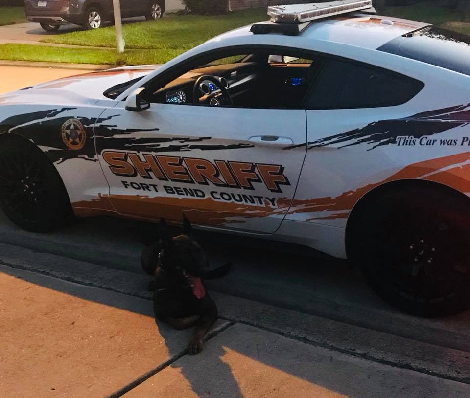 Fort Bend County Sheriff's Office - K9 Rudy decided his Tahoe isn’t ...