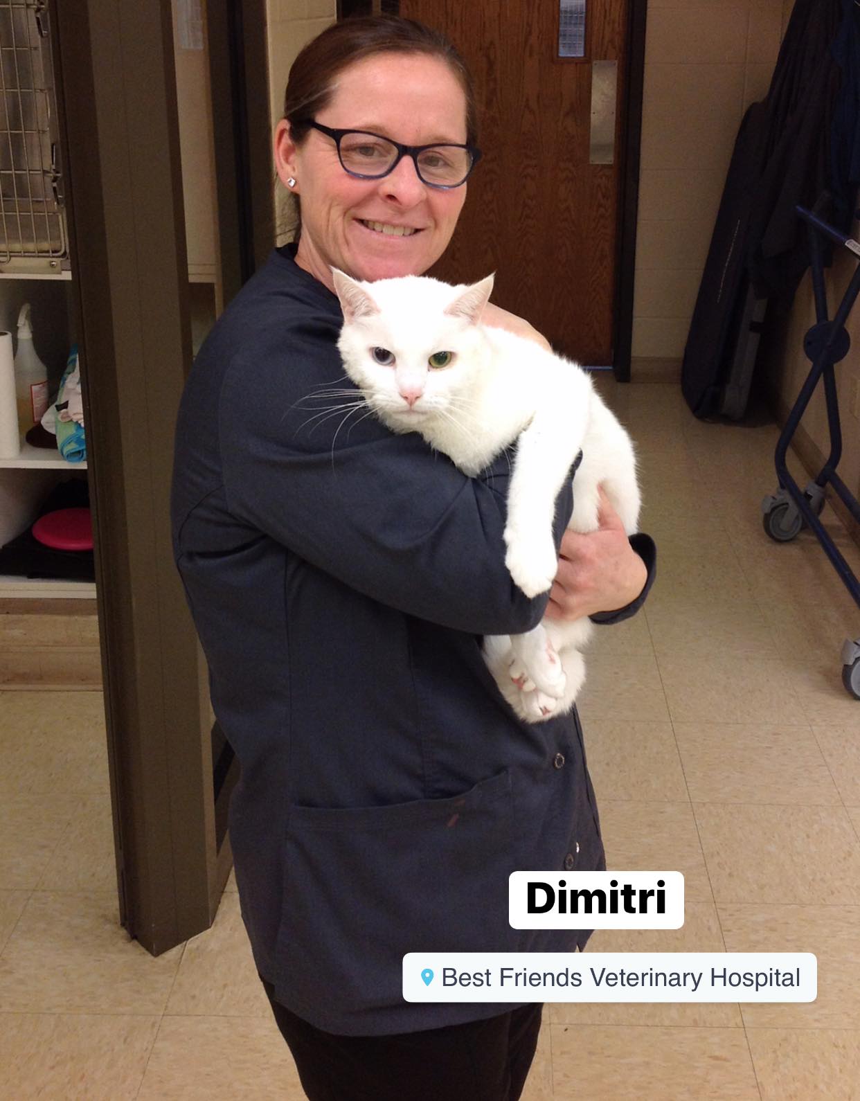 This is Dimitri! He... - Best Friends Veterinary Hospital