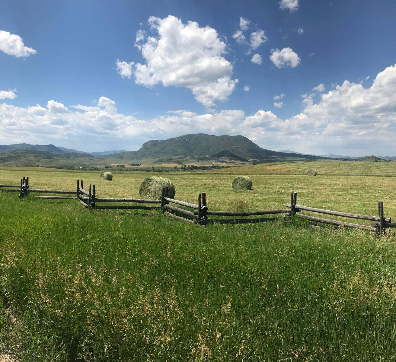 Marabou Ranch | Steamboat Springs CO