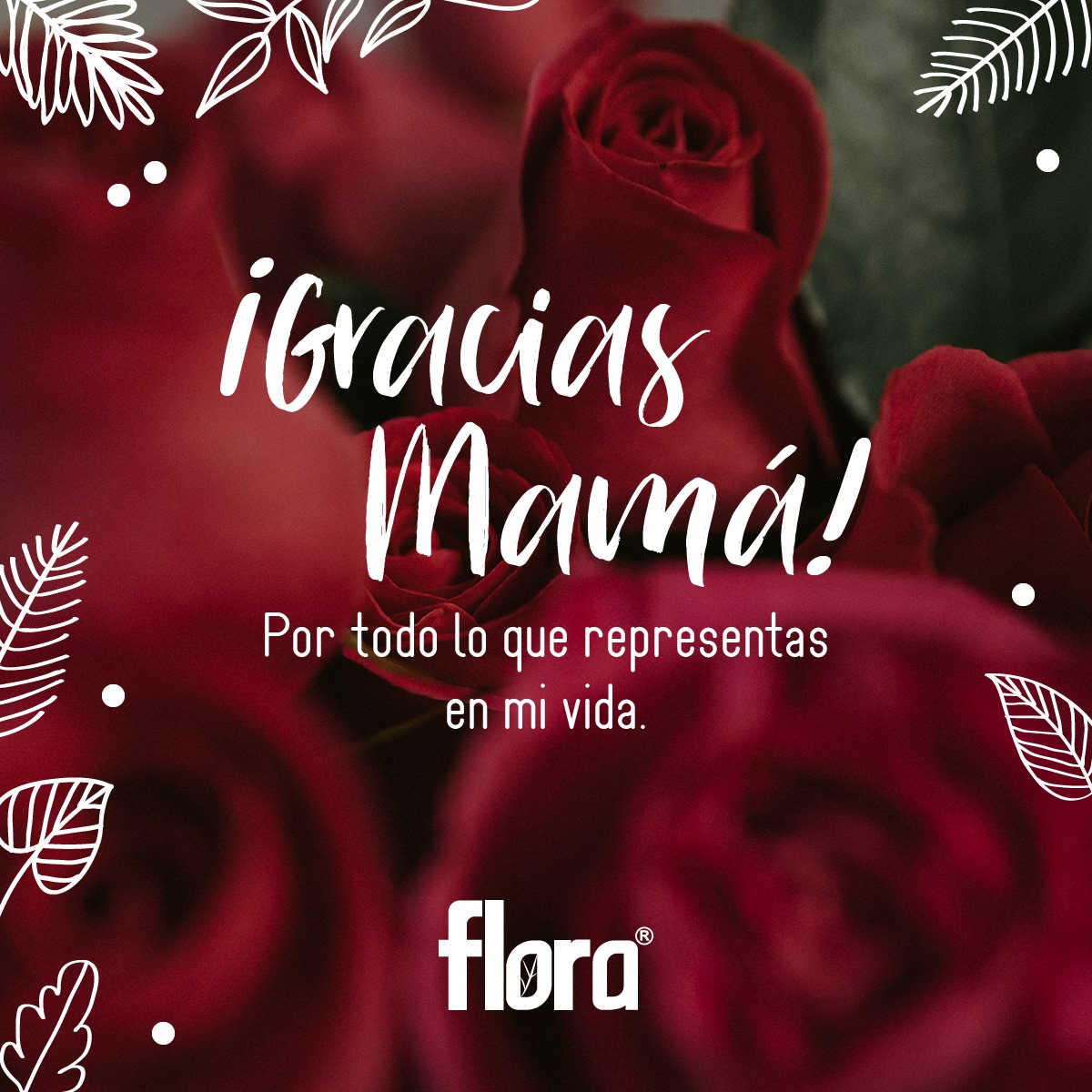 FLORA - ️Amor verdadero, infinito e incondicional… ️...
