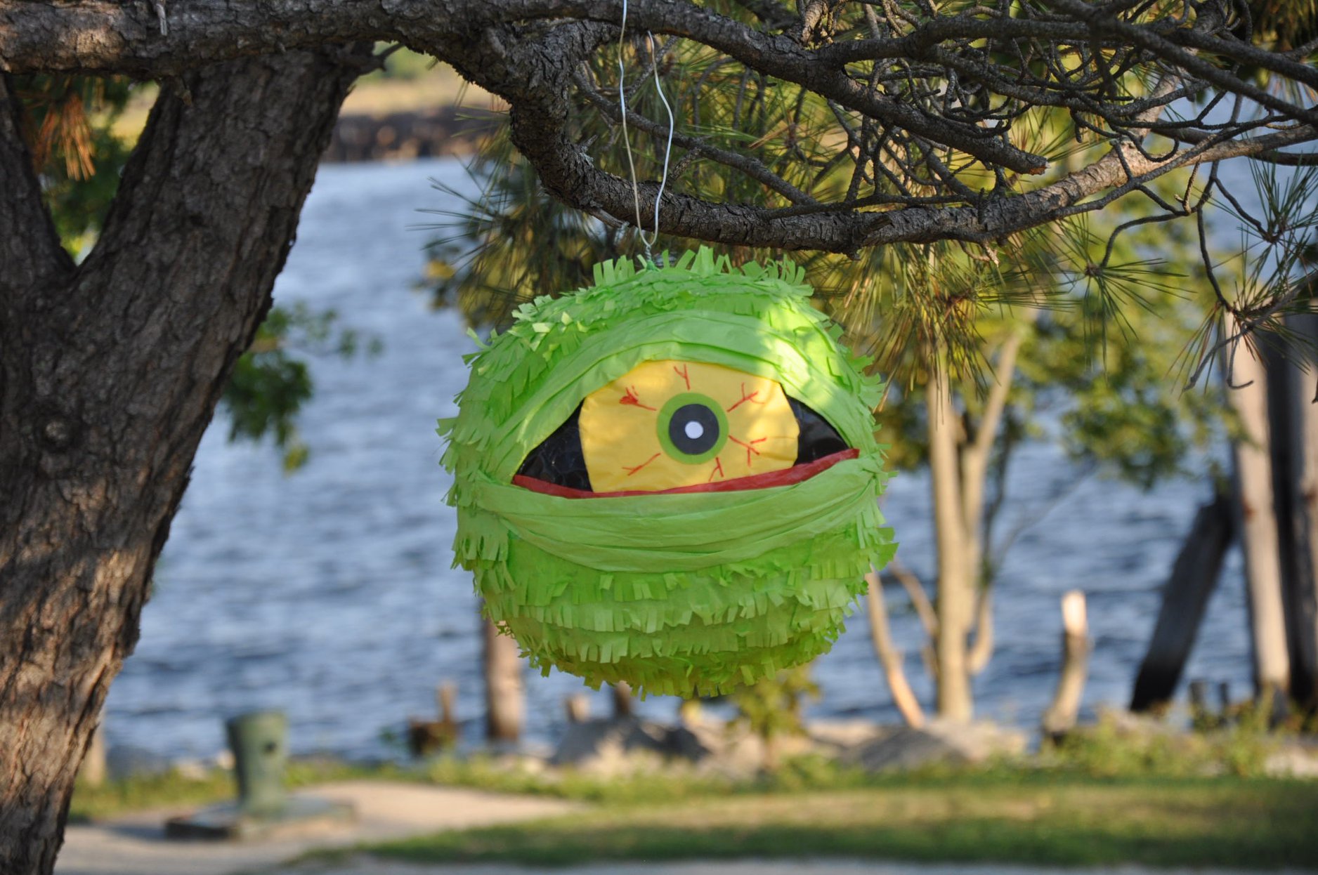 Pinata Center - Happy Friday everybody!! We've had some...