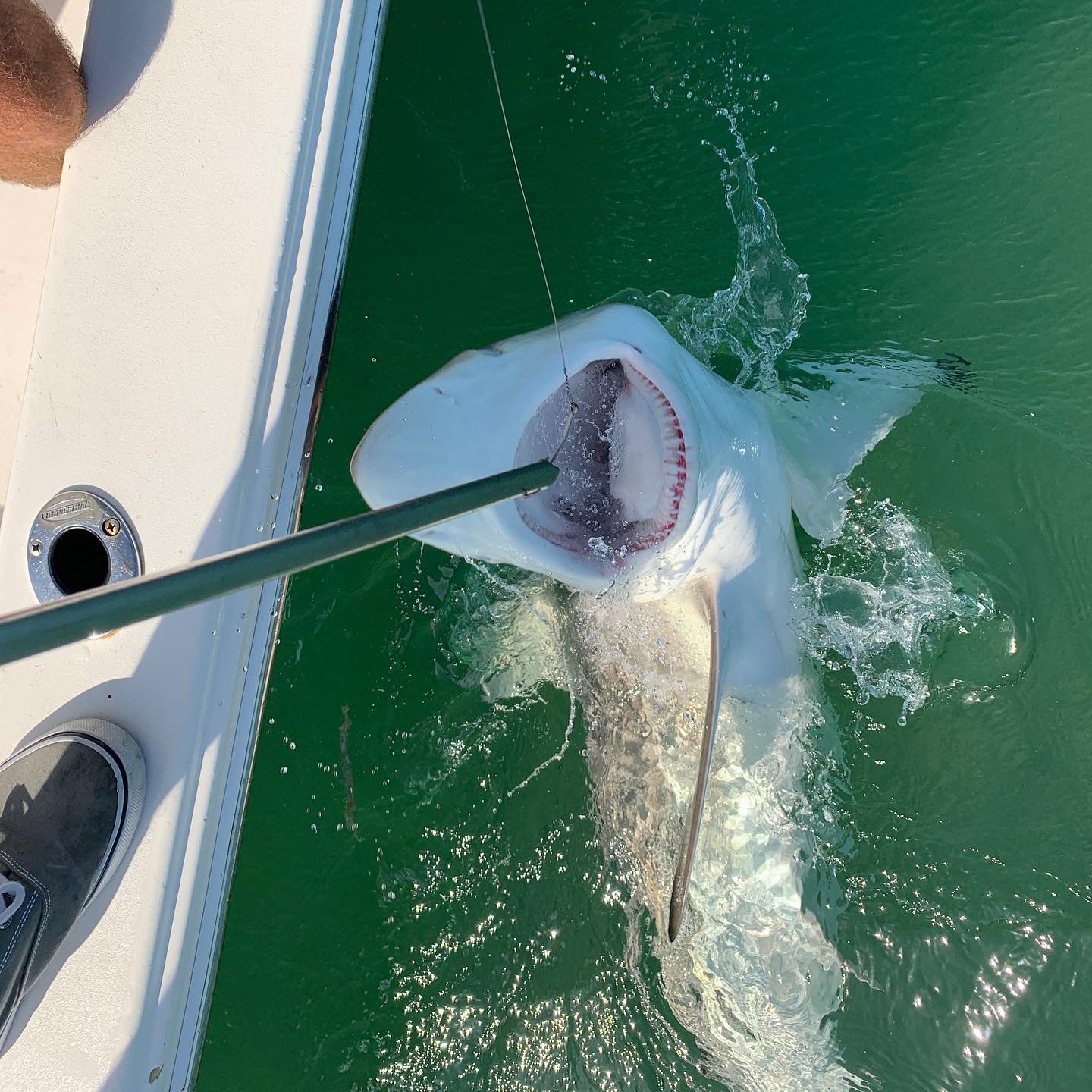 SHADOW CASTER CHARTERS | Key West FL