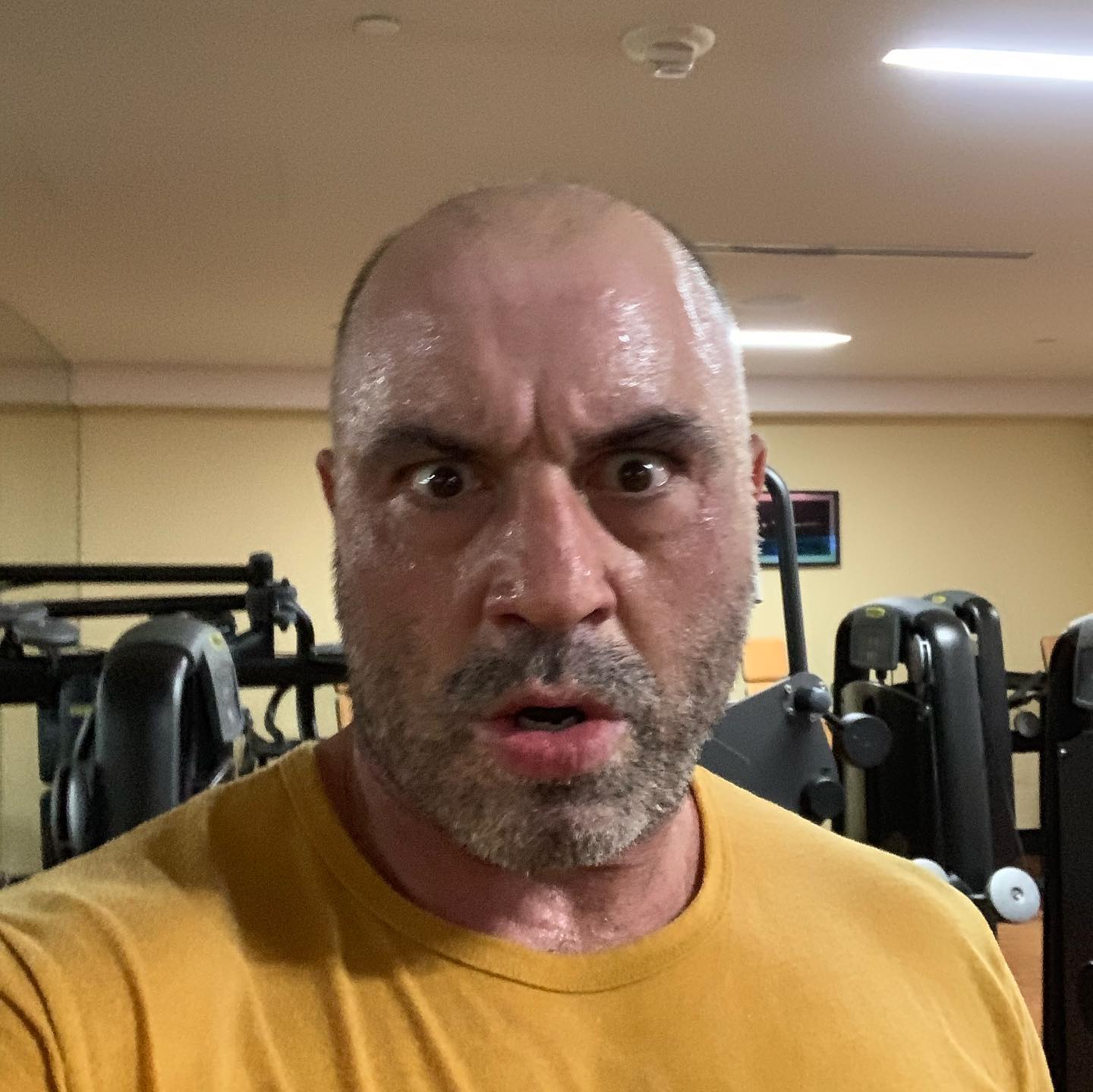 Joe Rogan - Portland Hotel workout in the books! Wringing... | Facebook