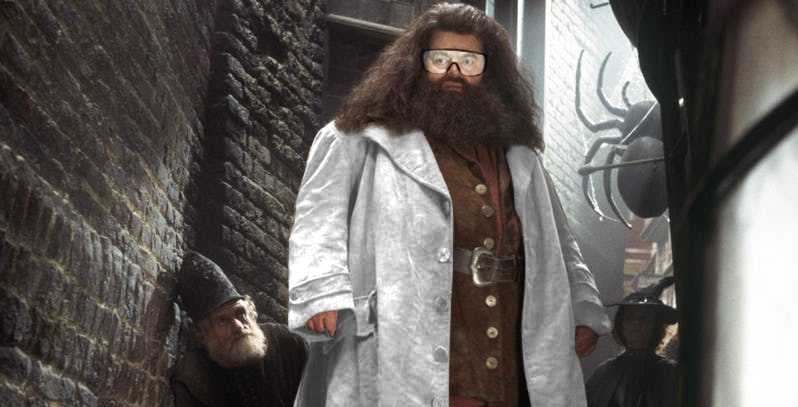 Hagrid Trading Centre HQ