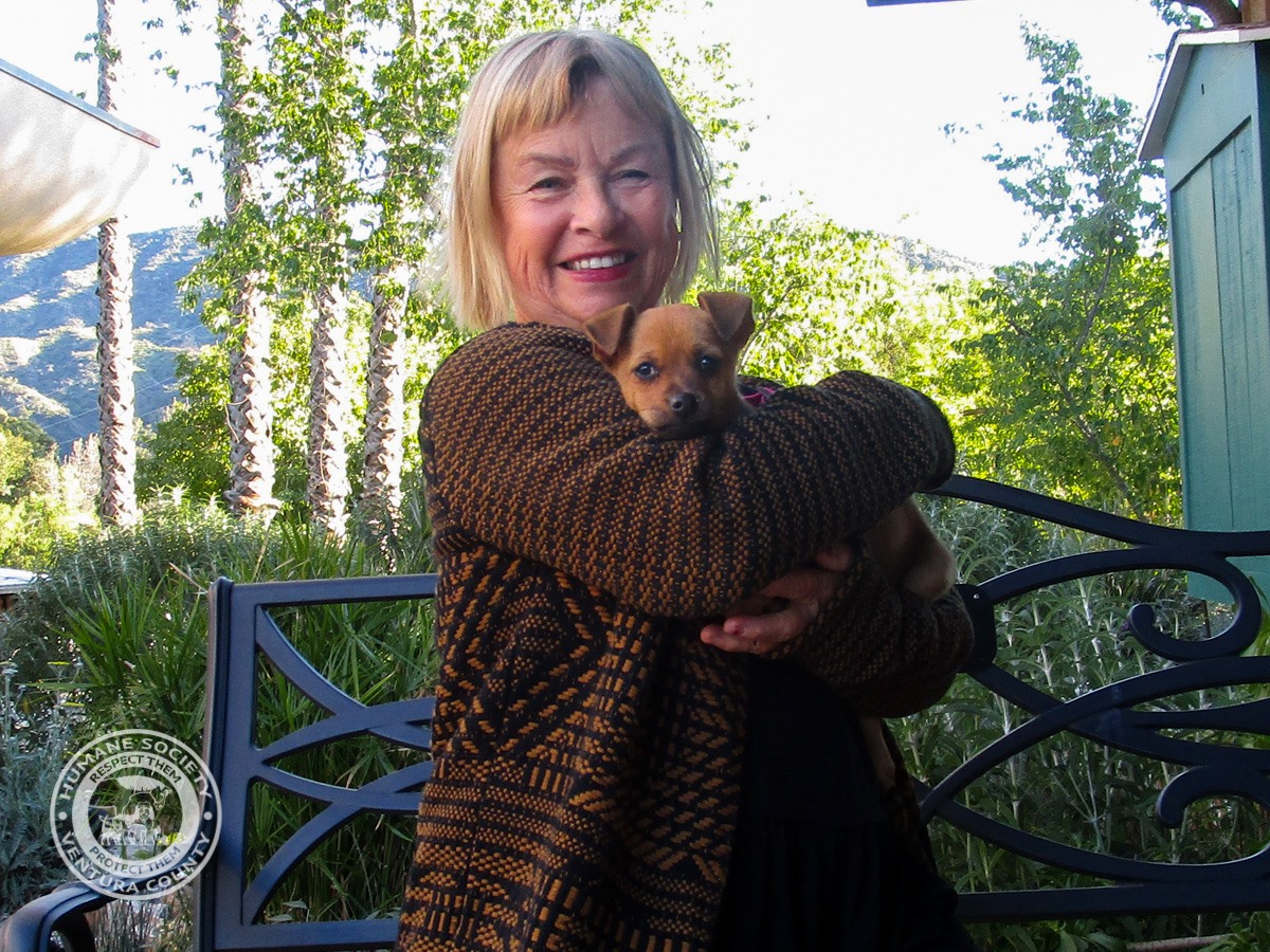 Humane Society of Ventura County - We are pleased to announce the ...