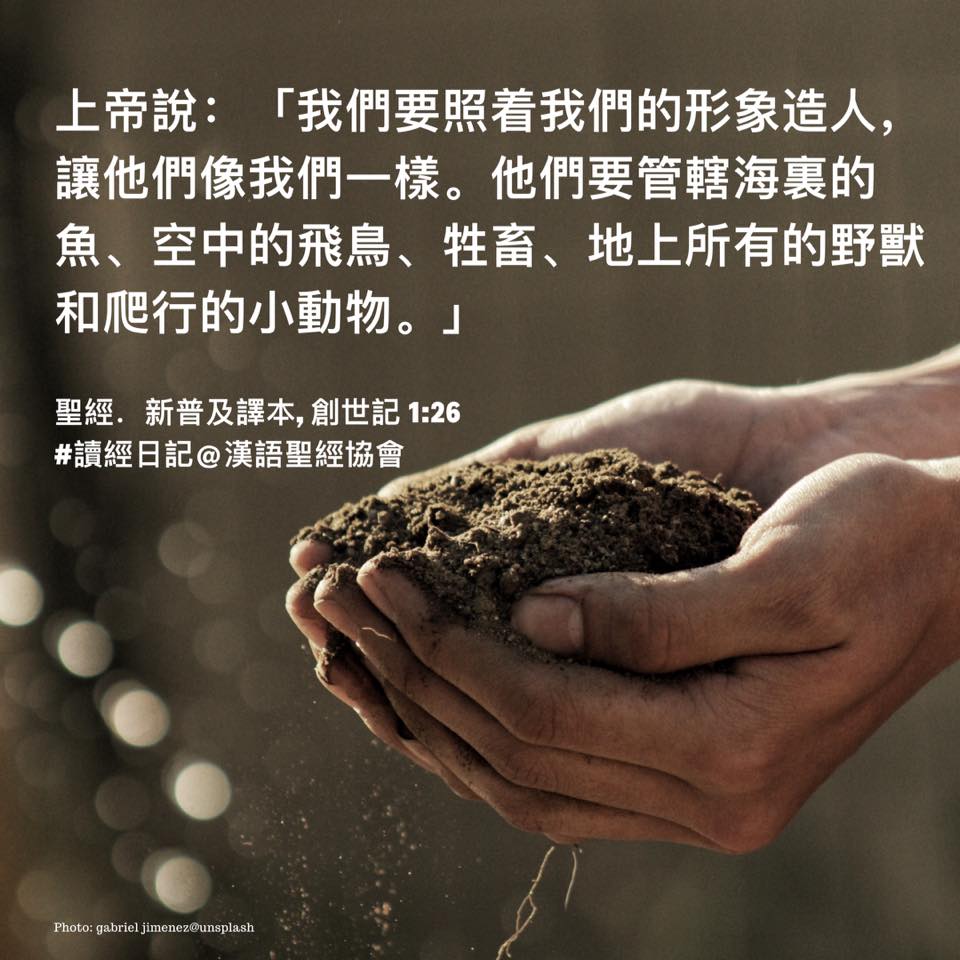 漢語聖經協會 - 讀經日記 進深思考：上帝造人的過程，與造萬物的過程有何分別？ 【上帝造萬物】創一1～二3 上帝用六日創造萬物，把混亂化成秩序 ...