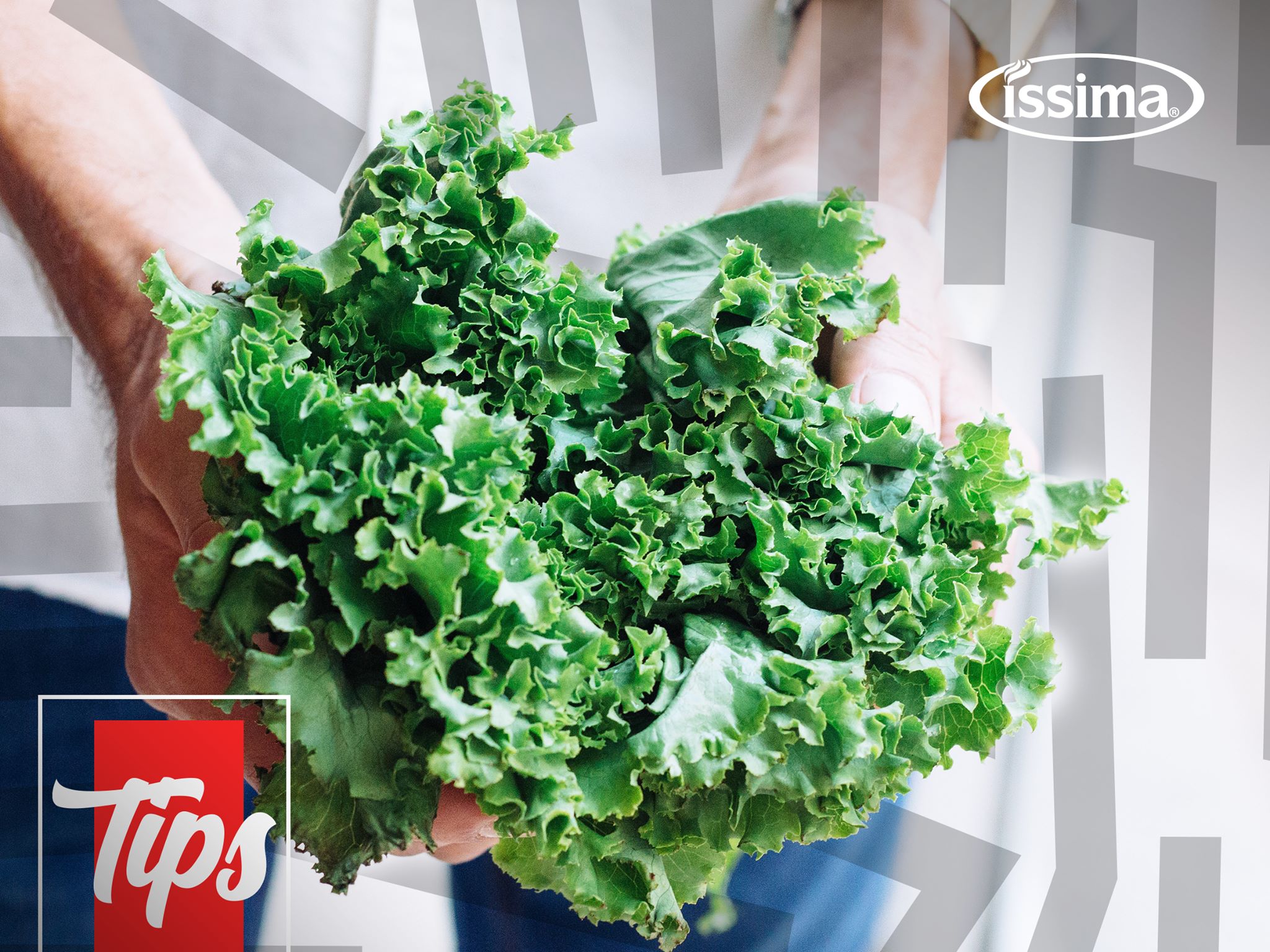Íssima Latam - Sabemos que la lechuga es un alimento que... | Facebook
