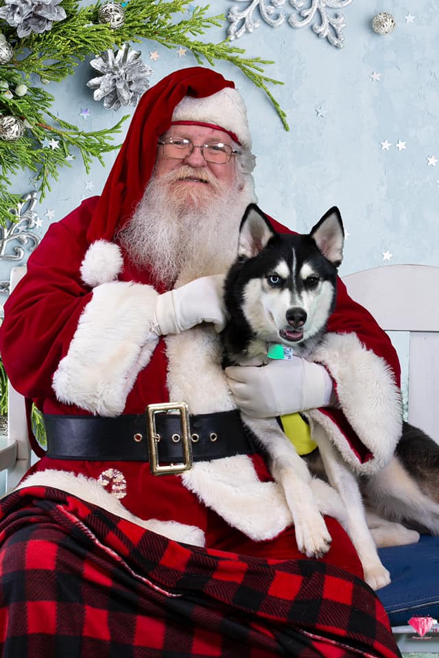 Santa Portraits for Animal Rescue
