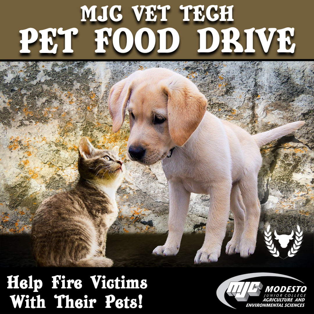 Modesto Junior College - Community, we need your help! MJC's Vet Tech ...