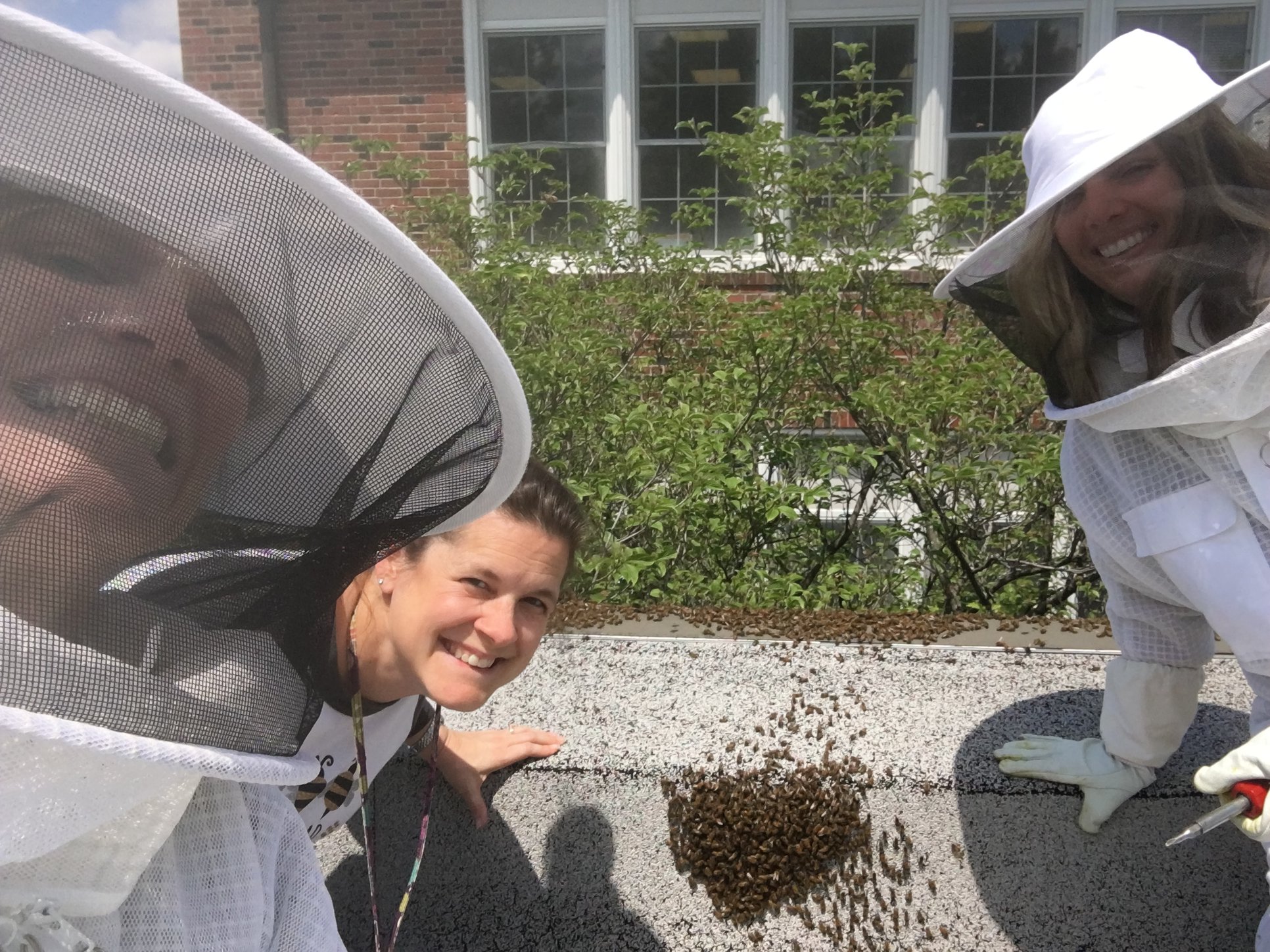 In honor of World Bee Day (May... - Keysor Elementary School