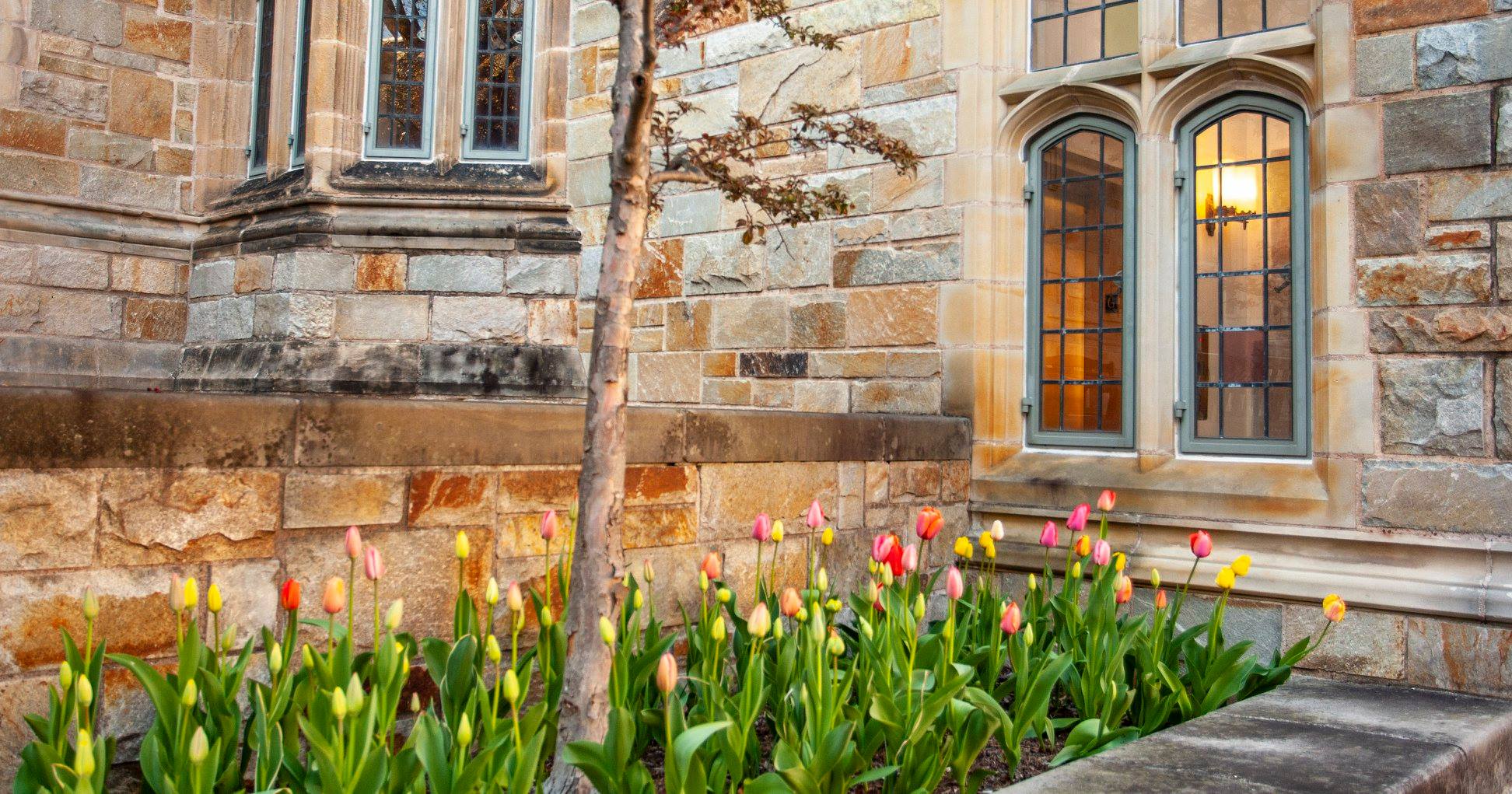 Yale University - Spring is here, and campus is in bloom! 🌸 | Facebook
