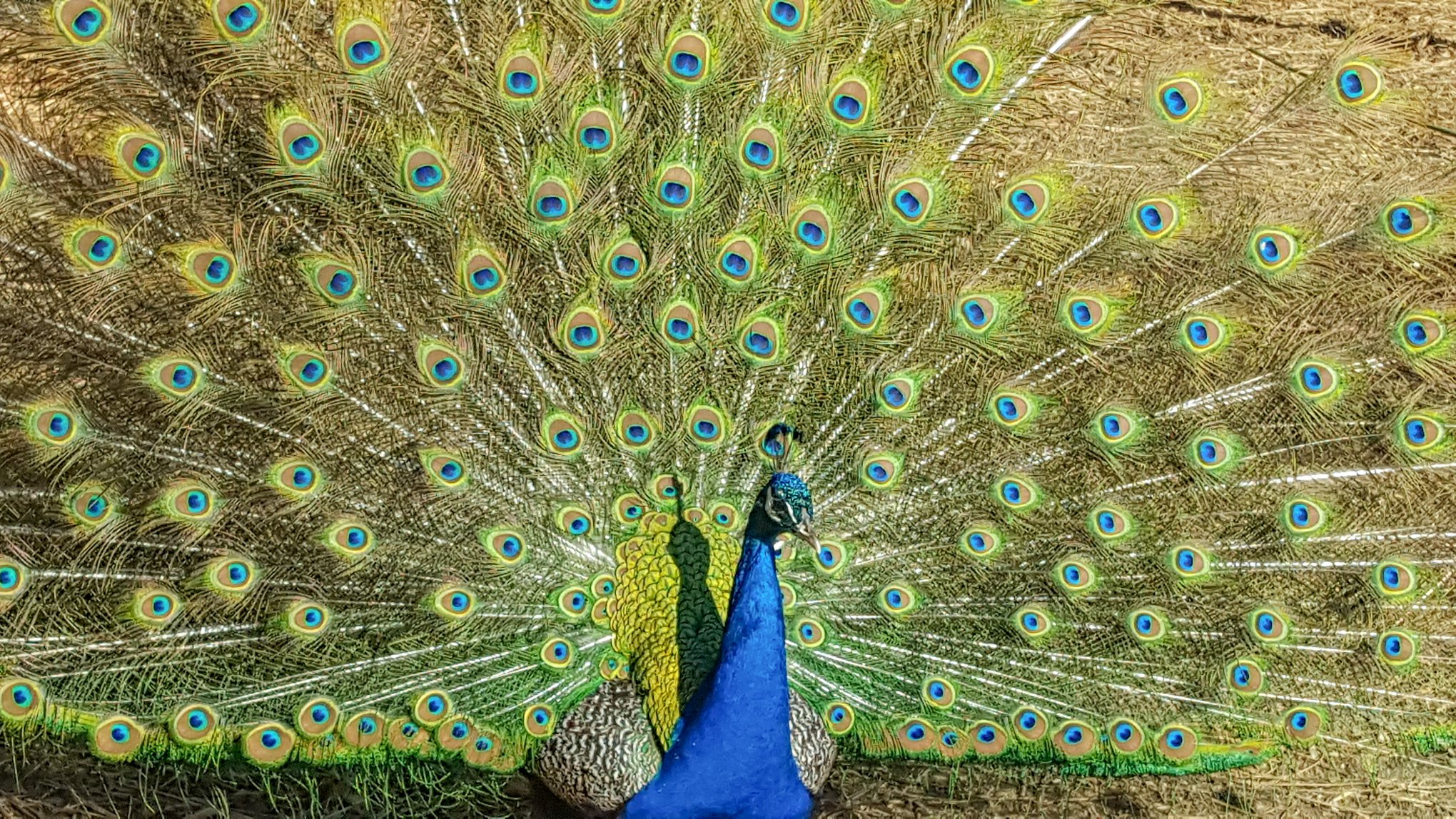 A sure sign that spring... - Mesker Park Zoo & Botanic Garden | Facebook