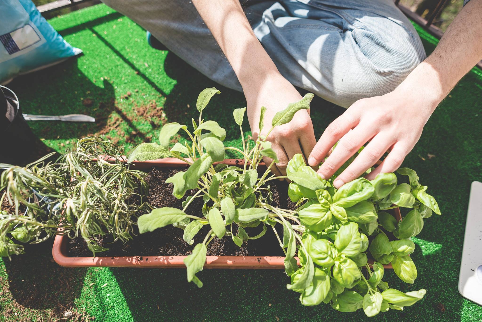 City - Be inspired to grow as urban gardeners share the benefits and ...