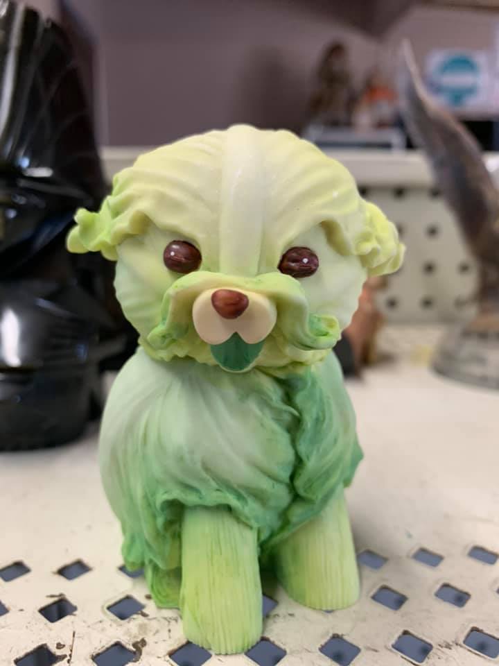 Finding a cabbage dog at a secondhand store