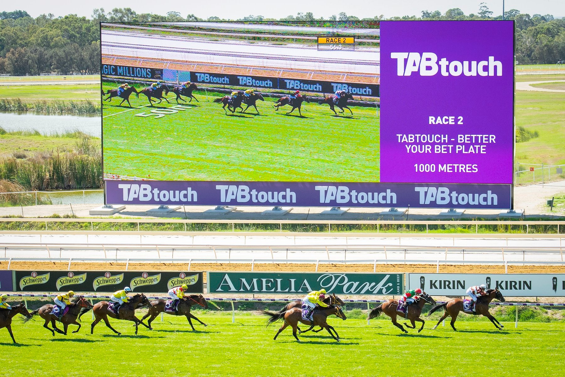 Perth Racing - 🏆🏇 TABtouch Melbourne Cup Day at Ascot 🏇🏆...